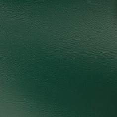 Domix, Массажная кушетка КМ-01 Эконом механика (33 цвета) Темно-зеленый 6127 Имидж Мастер