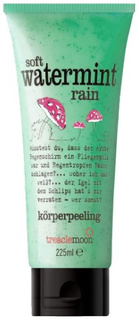 Domix, Скраб для тела мятный дождь Soft Watermint Rain Body Scrub, 225 мл Treaclemoon