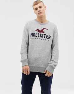 Серый меланжевый свитшот с вышитым логотипом на груди Hollister