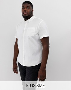 Белая оксфордская рубашка классического кроя New Look Plus-Белый