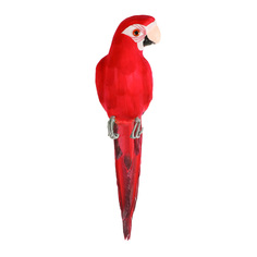 Фигурка декоративная Goldbach попугай 43см в ассортименте