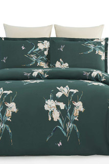 Постельное белье евро 50х70 Arya home collection