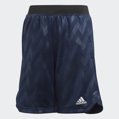 Шорты для фитнеса XFG adidas Performance