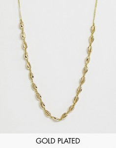 Позолоченное ожерелье-чокер с подвеской в форме раковины Orelia-Золотой