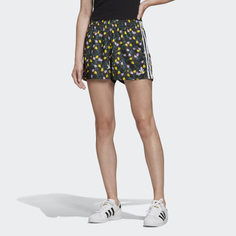 Шорты Allover Print adidas Originals