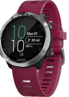 мужские часы Garmin 010-01863-31. Коллекция Forerunner 645