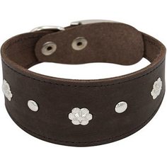 Ошейник для собак ZOOEXPRESS Камбала 1 сл 50 мм 35 см Коричневый