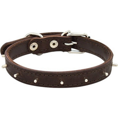 Ошейник для собак ZOOEXPRESS Еж 2 сл 18 мм 42 см Коричневый