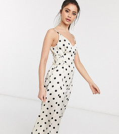 Платье-комбинация миди кремового цвета в горошек со шнуровкой Outrageous Fortune Petite-Белый