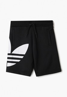 Шорты спортивные adidas Originals 