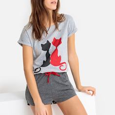 . Catsline