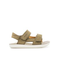 Сандалии из кожи GOA BOY SCRATCH Shoo POM