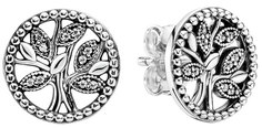 Серебряные серьги Серьги PANDORA 297843CZ