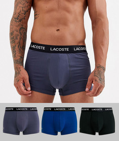 Набор из 3 эластичных боксеров-брифов из микрофибры Lacoste Colours-Мульти