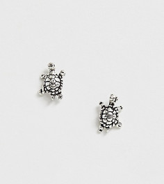 Серебряные серьги-гвоздики с дизайном "черепаха" Kingsley Ryan-Серебряный