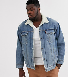 Светлая джинсовая куртка с подкладкой из искусственного меха Levis Big & Tall-Синий