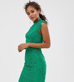 Зеленое кружевное платье-футляр с фигурными краями Chi Chi London Tall-Зеленый