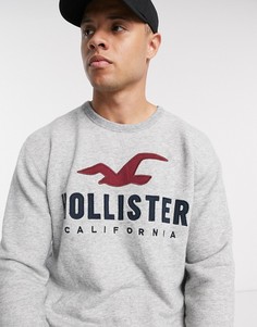 Серый свитшот с логотипом Hollister