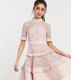 Светло-розовые кружевное платье мини Forever New Petite-Розовый
