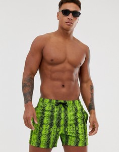 Неоново-зеленые короткие шорты для плавания со змеиным принтом ASOS DESIGN-Зеленый