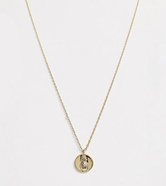 Позолоченное ожерелье с подвеской-ананасом Orelia-Золотой