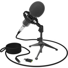 Микрофон Ritmix RDM-160 black