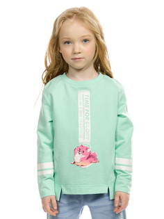 Толстовка Pelican