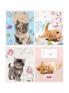 Тетрадь BG Cat Story А5 12 листов Т5ск12 7015