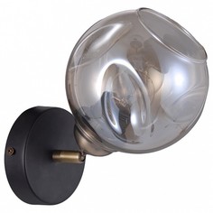 Спот Tuenno OML-93501-01 Omnilux