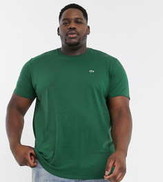 Темно-зеленая футболка из хлопка пима с логотипом Lacoste-Зеленый