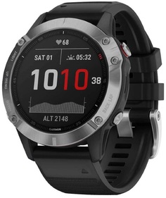 Спортивные часы Garmin fenix 6 Silver w/Black BandGPS WatchWW (010-02158-00)