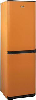 Холодильник Бирюса T340NF (оранжевый)