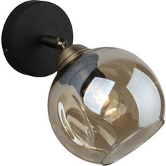 Спот Omnilux OML-93501-01