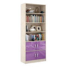 Стеллаж комбинированный Либерти-51 МФ Мастер