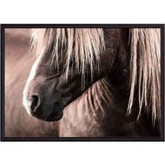 Постер в рамке Дом Корлеоне Скандинавская лошадь 50x70 см