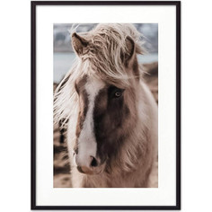 Постер в рамке Дом Корлеоне Скандинавская лошадь 07-0296-50х70