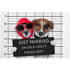 Картина на дереве Дом Корлеоне Собаки Молодожены 60x90 см