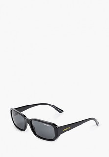 Очки солнцезащитные Arnette 0AN4265 41/87