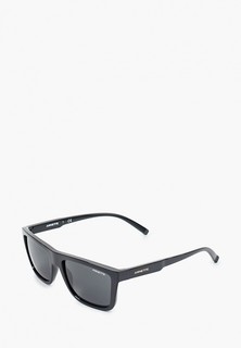 Очки солнцезащитные Arnette 0AN4262 41/87
