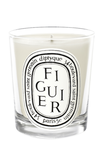 Парфюмированная свеча diptyque figuier (diptyque) белый