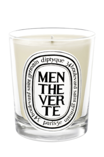 Парфюмированная свеча diptyque menthe verte (diptyque) белый