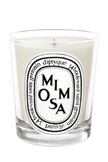 Парфюмированная свеча diptyque mimosa (diptyque) белый
