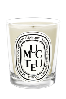 Парфюмированная свеча diptyque muguet (diptyque) белый