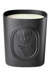 Парфюмированная свеча diptyque l elide (diptyque) черный