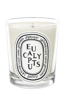Парфюмированная свеча diptyque eucalyptus (diptyque) белый