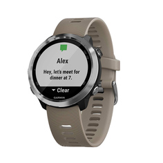 Спортивные часы Garmin Forerunner 645 Sandstone