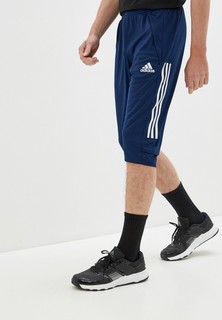 Бриджи adidas CON20 3/4 PNT