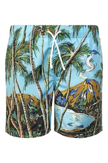 Пляжные шорты Dolce & Gabbana