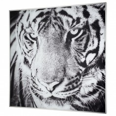 Панно (80x80 см) 87020 Tomas Stern