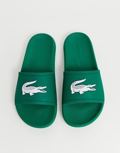 Зеленые шлепанцы Lacoste Croco-Зеленый